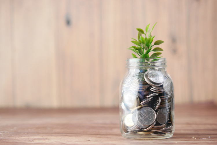 Coin-filled jar with plan sprouting