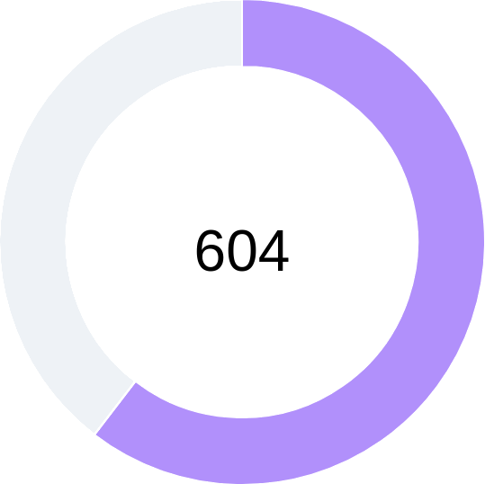 Financial Wellness Score
